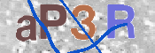 Obrazek CAPTCHA